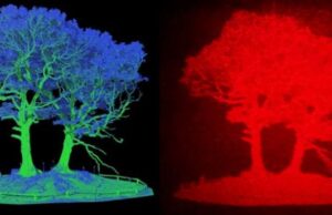 3D holographic head up display could improve road safety