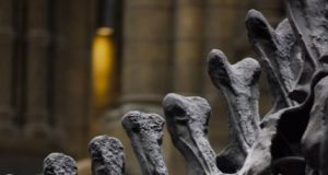 A dinosaur tail vertebra leads researchers on the right track