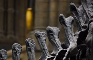 A dinosaur tail vertebra leads researchers on the right track