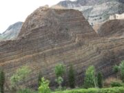 A rich marine algal ecosystem existed 600 million years earlier than previously thought