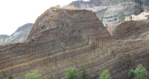 A rich marine algal ecosystem existed 600 million years earlier than previously thought