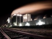 Are chemical pollutants altering the behavior of wildlife and humans
