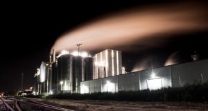 Are chemical pollutants altering the behavior of wildlife and humans