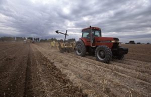 Climate change cut global agricultural productivity 21 since 1960s