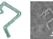 DNA robots designed in minutes instead of days