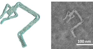 DNA robots designed in minutes instead of days