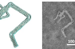 DNA robots designed in minutes instead of days