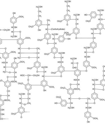 Dominating fungus could be solution to producing more biofuels and chemicals
