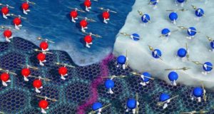 Entropy measurements reveal exotic effect in magic angle graphene