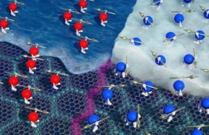 Entropy measurements reveal exotic effect in magic angle graphene