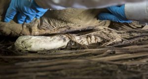 Foetus in bishops coffin was probably his grandson