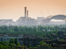 Genetic effects of Chernobyl radiation