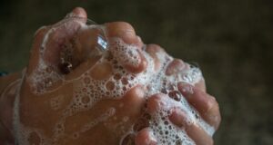 Handwashing responsible for bacteria in sinks largest non hospital study shows