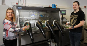 How oxygen producing cyanobacteria facilitated complex life