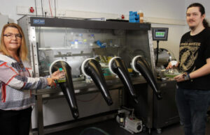 How oxygen producing cyanobacteria facilitated complex life