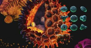 How the Chicxulub impactor gave rise to modern rainforests