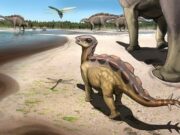 International paleontology team discovers tiny cat sized stegosaur
