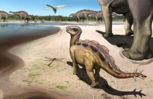 International paleontology team discovers tiny cat sized stegosaur