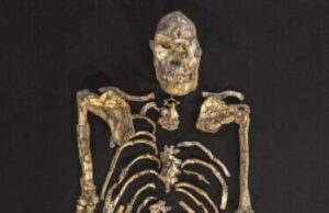 Little Foot fossil shows early human ancestor clung closely to trees