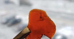 Making cleaner greener plastics from waste fish parts