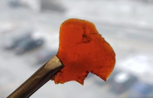 Making cleaner greener plastics from waste fish parts