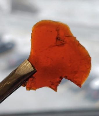 Making cleaner greener plastics from waste fish parts