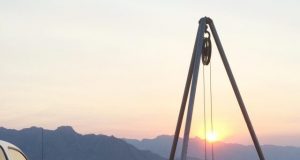 Microbe discovered in evolutionary stasis for millions of years