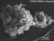 More than 5000 tons of extraterrestrial dust fall to Earth each year