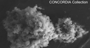 More than 5000 tons of extraterrestrial dust fall to Earth each year