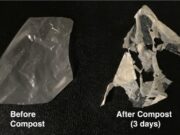 New process makes biodegradable plastics truly compostable