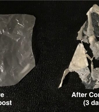 New process makes ‘biodegradable’ plastics truly compostable New process makes biodegradable plastics truly compostable
