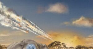 New study has scientists re evaluating relative brain size and mammalian intelligenc