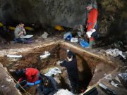 Nuclear DNA from sediments helps unlock ancient human history