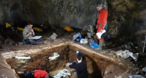 Nuclear DNA from sediments helps unlock ancient human history