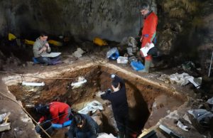 Nuclear DNA from sediments helps unlock ancient human history
