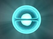Nuclear speckle structures inside cells enhance gene activity may help block cancers