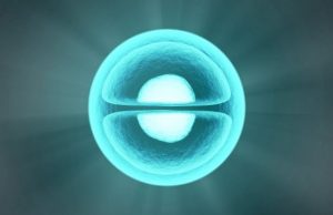 Nuclear speckle structures inside cells enhance gene activity may help block cancers