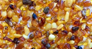 Paleopharmaceuticals from Baltic amber might fight drug resistant infections