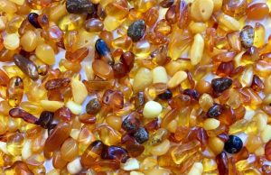 Paleopharmaceuticals from Baltic amber might fight drug resistant infections