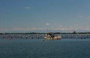 Science has not kept pace with aquaculture