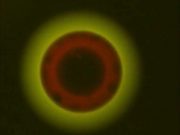 Scientists discover three liquid phases in aerosol particles