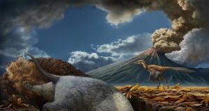 Scientists discover two new species of ancient burrowing mammal ancestors