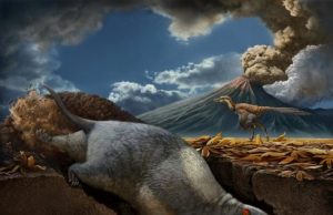 Scientists discover two new species of ancient, burrowing mammal ancestors Scientists discover two new species of ancient burrowing mammal ancestors