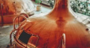 Separating beer waste into proteins for foods and fiber for biofuels