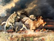 Shift in diet allowed gray wolves to survive ice age extinction