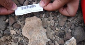 Study cements age and location of hotly debated skull from early human Homo erectus