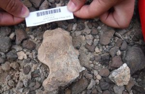 Study cements age and location of hotly debated skull from early human Homo erectus