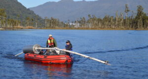Study reveals the workings of natures own earthquake blocker