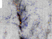 Surprise twist suggests stars grow competitively