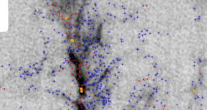 Surprise twist suggests stars grow competitively